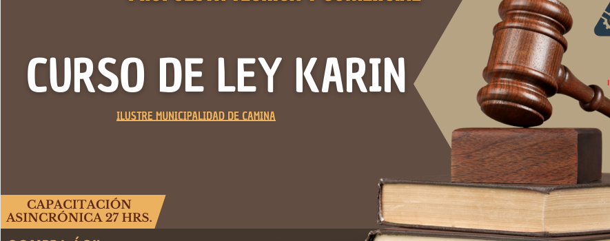 LEY KARIN SINCRÓNICO
